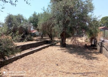 Giardino - Terreno edificabile Via grotta del signore
Sn, San Pietro Clarenza - foto 12