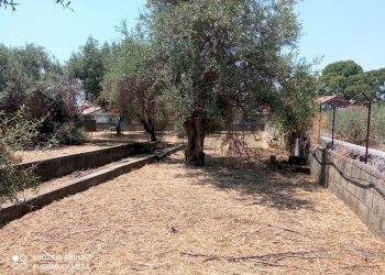 Giardino - Terreno edificabile Via grotta del signore
Sn, San Pietro Clarenza - foto 13
