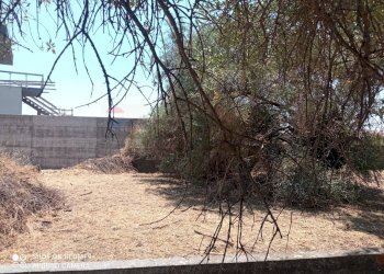 Giardino - Terreno edificabile Via grotta del signore
Sn, San Pietro Clarenza - foto 14