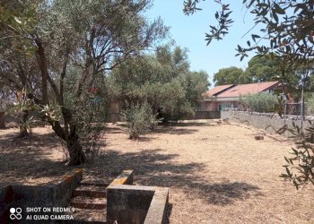 Giardino - Terreno edificabile Via grotta del signore
Sn, San Pietro Clarenza - foto 16