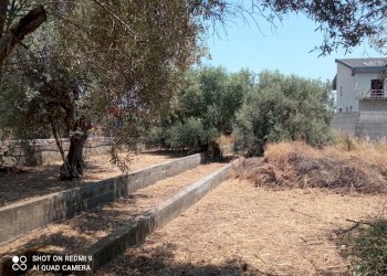 Giardino - Terreno edificabile Via grotta del signore
Sn, San Pietro Clarenza - foto 17
