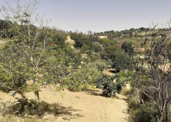 Giardino - Terreno agricolo Contrada Pollicarini, Enna - foto 6