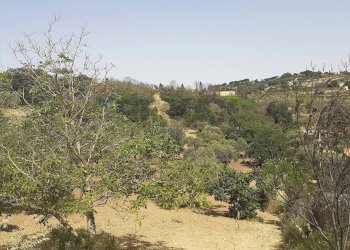 Vista delle montagne - Terreno agricolo Contrada Pollicarini, Enna - foto 9