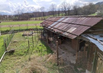 Casa all\'aperto - Casa semi indipendente Santa Giustina - foto 24