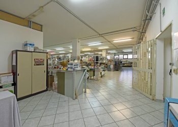 interno - Capannone Via di Salsola, Foggia - foto 18