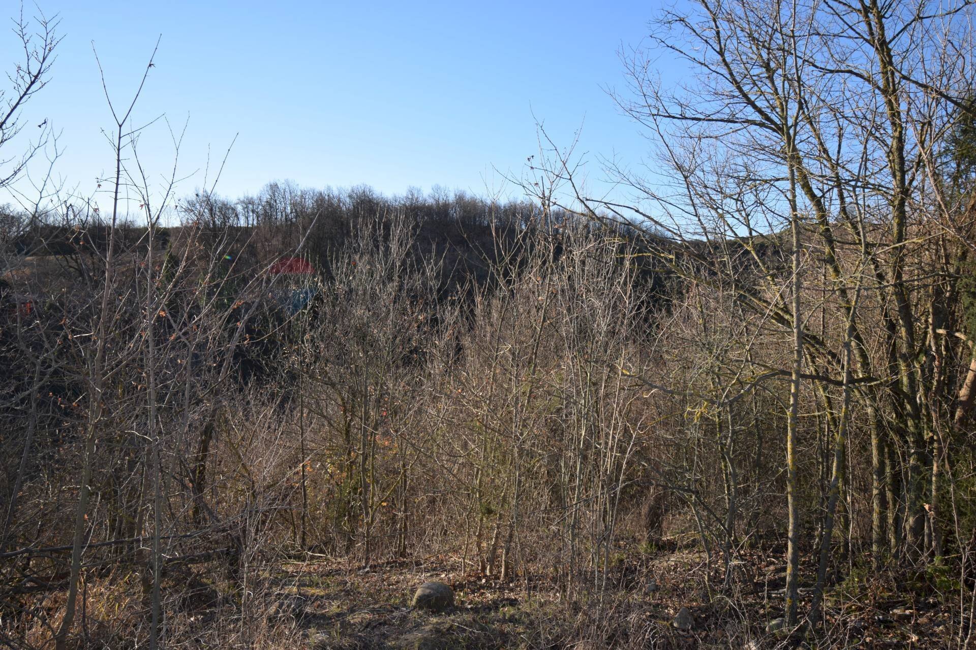 Vista delle montagne - Terreno agricolo strada cafragna, Fornovo di Taro - foto 1