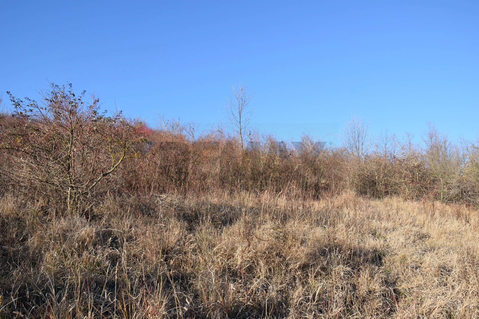 Vista delle montagne - Terreno agricolo strada cafragna, Fornovo di Taro - foto 2
