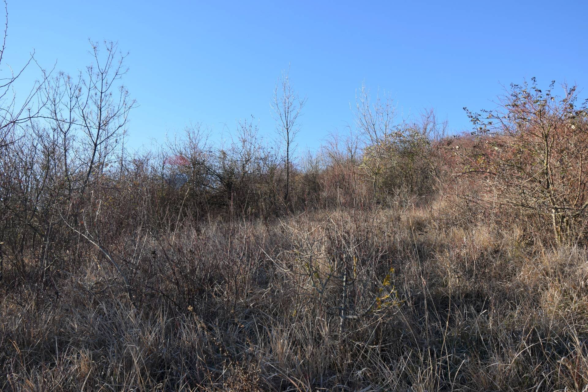 Vista delle montagne - Terreno agricolo strada cafragna, Fornovo di Taro - foto 3