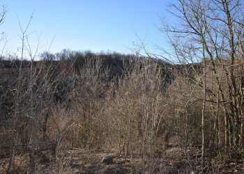 Vista delle montagne - Terreno agricolo strada cafragna, Fornovo di Taro - foto 1