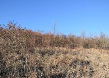 Vista delle montagne - Terreno agricolo strada cafragna, Fornovo di Taro - foto 2