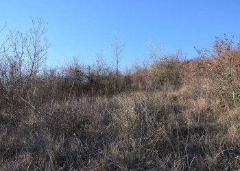 Vista delle montagne - Terreno agricolo strada cafragna, Fornovo di Taro - foto 3