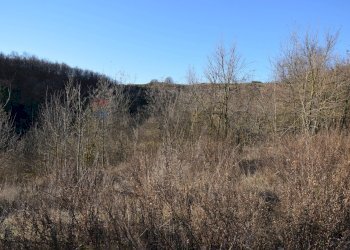 Vista delle montagne - Terreno agricolo strada cafragna, Fornovo di Taro - foto 4