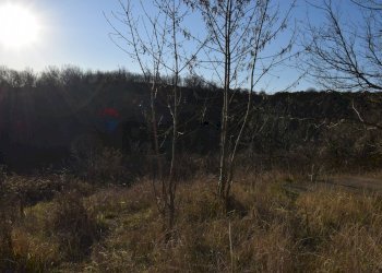Vista delle montagne - Terreno agricolo strada cafragna, Fornovo di Taro - foto 5