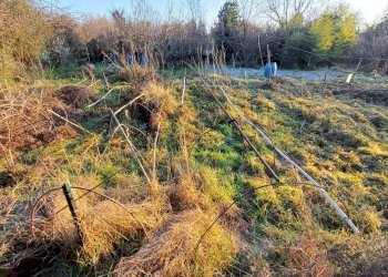 Foto 3 - Terreno agricolo VIA MUGGIANO
 
SNC, Milano - foto 3