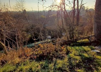 Foto 4 - Terreno agricolo VIA MUGGIANO
 
SNC, Milano - foto 4