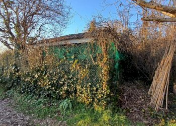 Foto 6 - Terreno agricolo VIA MUGGIANO
 
SNC, Milano - foto 6