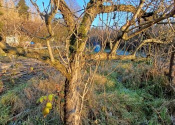 Foto 12 - Terreno agricolo VIA MUGGIANO
 
SNC, Milano - foto 12