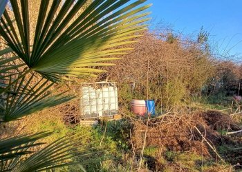 Foto 13 - Terreno agricolo VIA MUGGIANO
 
SNC, Milano - foto 13