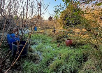 Foto 15 - Terreno agricolo VIA MUGGIANO
 
SNC, Milano - foto 15