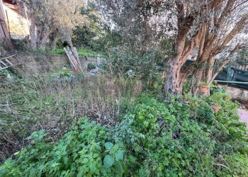 Giardino - Villa via sm 22
 
97, Monreale - foto 10