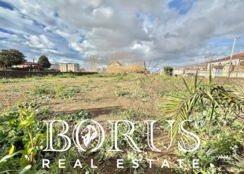 Foto 5 - Terreno agricolo Via dei diavoli, Castel Volturno - foto 5