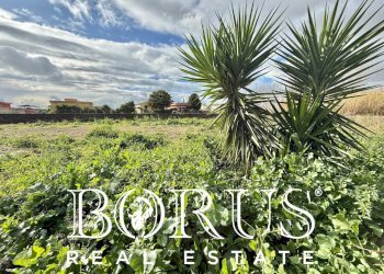 Foto 8 - Terreno agricolo Via dei diavoli, Castel Volturno - foto 8