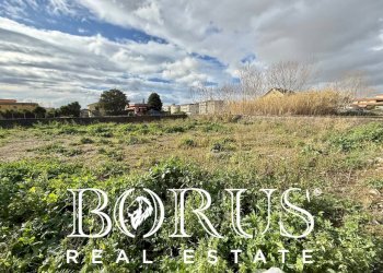 Foto 11 - Terreno agricolo Via dei diavoli, Castel Volturno - foto 11