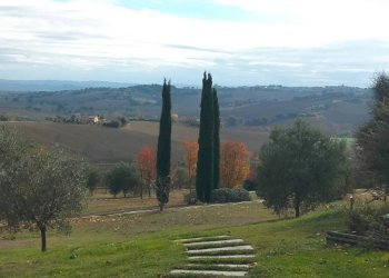 Vista - Villa via dei Vasari, Senigallia - foto 10
