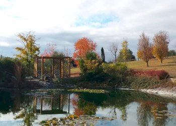 Vista - Villa via dei Vasari, Senigallia - foto 17