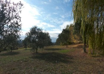 Terreno - Villa via dei Vasari, Senigallia - foto 19
