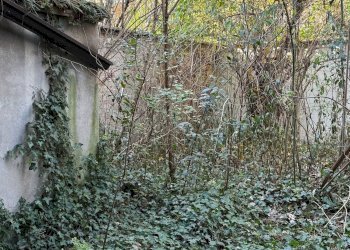 Foto 2 - Casa indipendente Mantova - foto 2