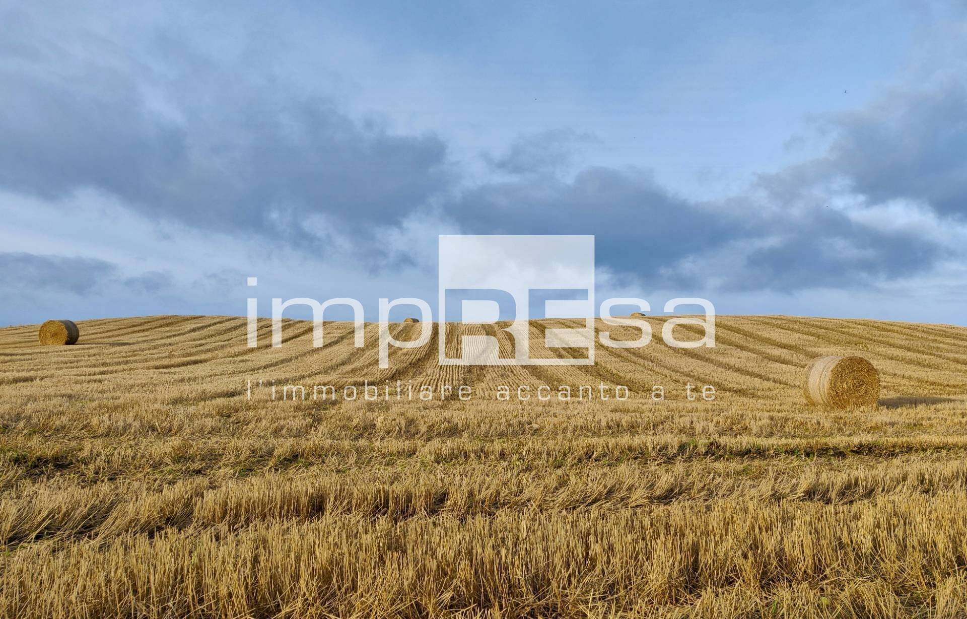 Foto 1 - Agricultural land VIA ERBE, Roncade - photo 1