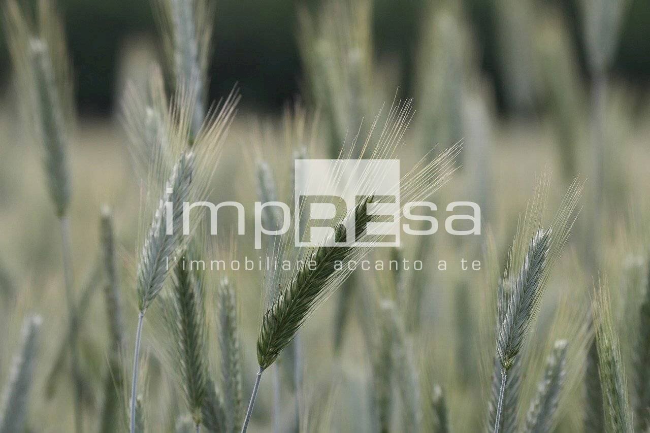 Foto 3 - Agricultural land VIA ERBE, Roncade - photo 3