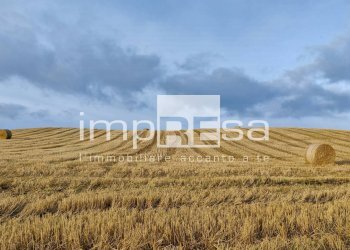 Foto 1 - Agricultural land VIA ERBE, Roncade - photo 1