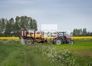 Foto 4 - Agricultural land VIA ERBE, Roncade - photo 4