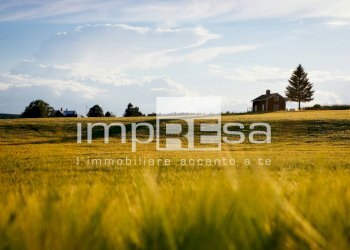 Foto 10 - Agricultural land VIA ERBE, Roncade - photo 10