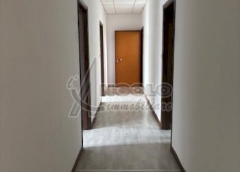 IMG_1904.jpg - Appartamento Occhiobello - foto 6