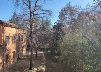 Trilocale Via Irnerio, 38, Bologna (zona Centro Storico) - foto 9