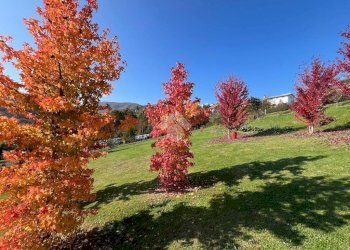 Villa Trifamiliare Tornolo, Tornolo - foto 12