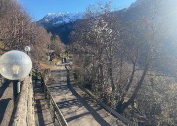 Apartment Moio de' Calvi - photo 21