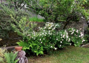 Villa Cogorno, GE, Cogorno - foto 9