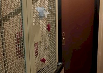 Two-room apartment Corso Grosseto, Torino - photo 13