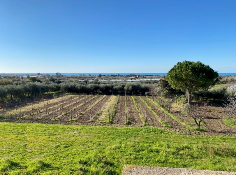 Villa Mondragone - foto 2