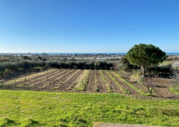 Villa Mondragone - foto 2