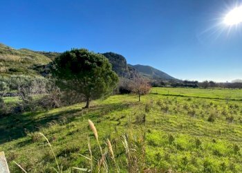 Villa Mondragone - foto 4