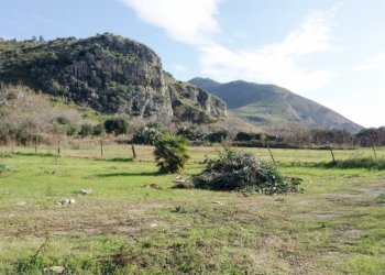 Villa Mondragone - foto 15