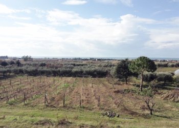 Villa Mondragone - foto 16