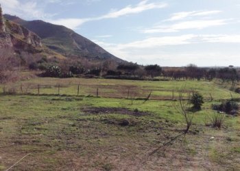 Villa Mondragone - foto 17