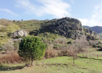 Villa Mondragone - foto 18