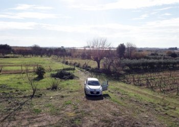 Villa Mondragone - foto 19